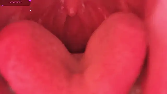 LT-333 online show from 02/06/26, 08:38