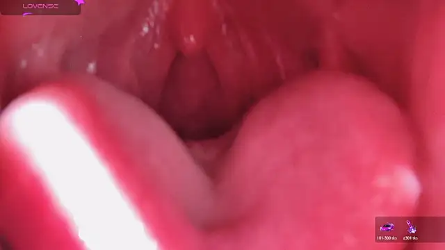 LT-333 online show from 02/13/26, 06:02