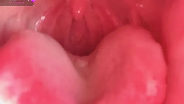 LT-333 online show from 02/10/26, 04:39