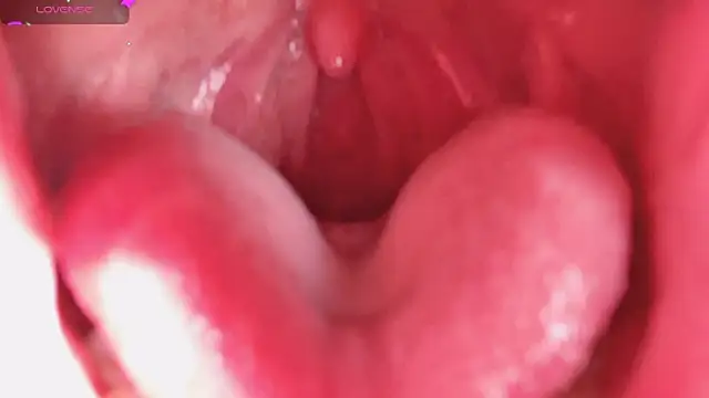 LT-333 online show from 02/05/26, 08:26