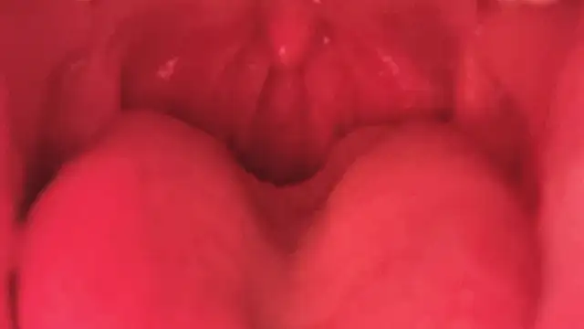 LT-333 online show from 01/11/26, 03:52