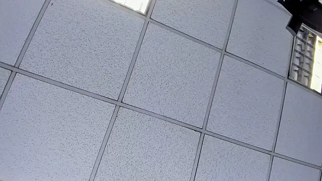 Alyssa Noah online show from 04/21/26, 02:51