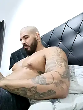 Snapshot of tommylima chatting on 02/19/26, 02:19 tommylima online show from 02/19/26, 02:19