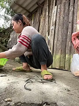 Thaoem online show from 12/04/25, 05:28