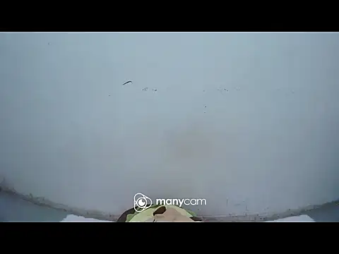 hottiemama69 online show from 04/15/26, 09:48