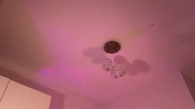 Lunarosaaa online show from 12/16/25, 03:27