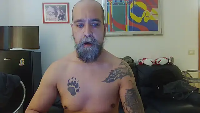 Snapshot of AMIRDIB2025 chatting on 06/15/26, 01:55 AMIRDIB2025 online show from 06/15/26, 01:55