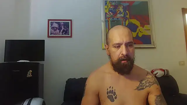 Snapshot of AMIRDIB2025 chatting on 06/17/26, 10:47 AMIRDIB2025 online show from 06/17/26, 10:47