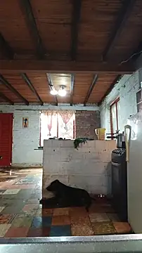 Snapshot of ChanneldelaCroix chatting on 03/12/26, 01:37 ChanneldelaCroix online show from 03/12/26, 01:37