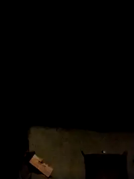 Snapshot of LeoPet2x chatting on 02/11/26, 01:44 LeoPet2x online show from 02/11/26, 01:44