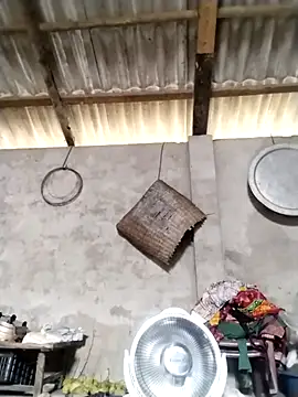 Snapshot of LeoPet2x chatting on 03/16/26, 05:44 LeoPet2x online show from 03/16/26, 05:44