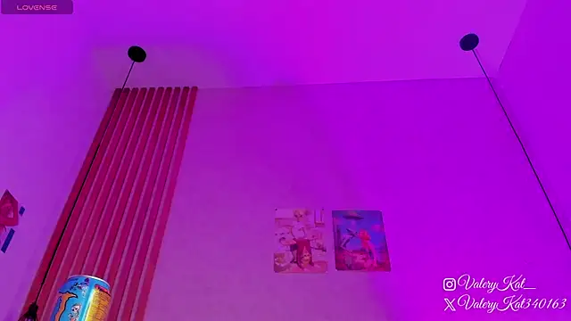 Snapshot of Valerykat_ chatting on 02/13/26, 11:32 Valerykat online show from 02/13/26, 11:32