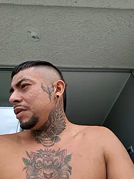 BASTIAN NICOLAS  online show from 01/11/26, 06:26