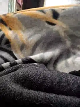 TwinklyBasket897 online show from 12/14/25, 04:34