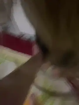 Snapshot of 3turkish6model9 chatting on 02/18/26, 01:25 3turkish6model9 online show from 02/18/26, 01:25