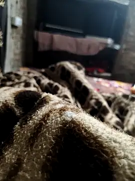 Snapshot of NEW_CPL786 chatting on 12/05/25, 02:43 NEW CPL786 online show from 12/05/25, 02:43