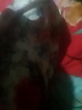 qeen3321 online show from 11/29/25, 05:24