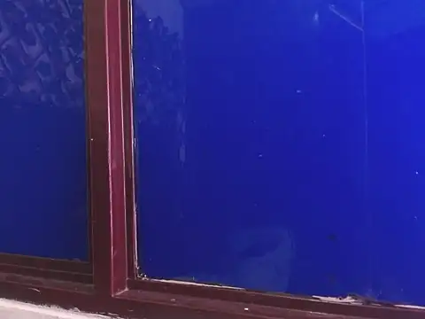 vrositaper online show from 12/01/25, 09:15