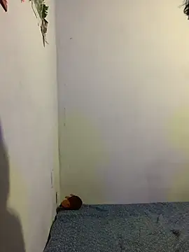 Arely-L1 online show from 02/09/26, 12:30