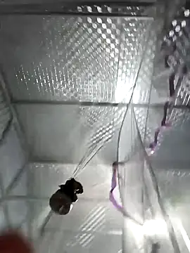 Evelyn-n online show from 03/04/26, 12:24