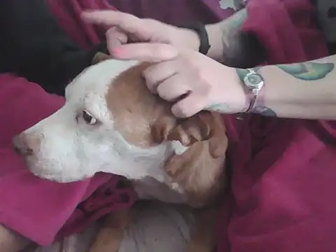 Snapshot of Darkytah chatting on 02/20/26, 03:36 Darkytah online show from 02/20/26, 03:36