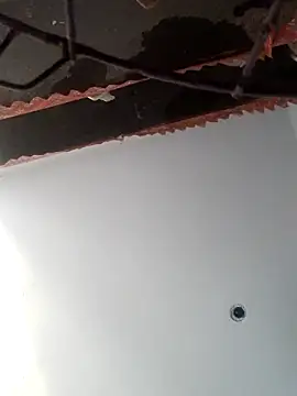 RADHIKA-1143 online show from 12/05/25, 10:36