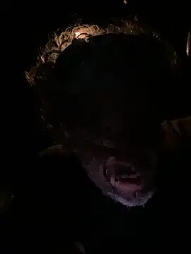 Petebulimia online show from 03/13/26, 01:54