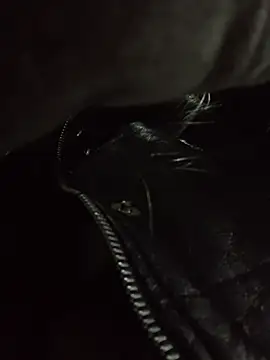 Katia-LS online show from 11/30/25, 07:14