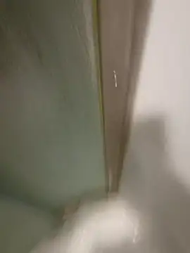 Lalin2323 online show from 04/08/26, 01:29