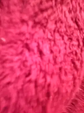 gatitachula93 online show from 03/12/26, 07:18