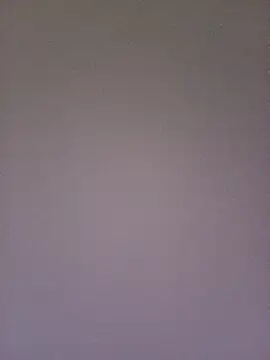 gatitachula93 online show from 02/10/26, 01:54