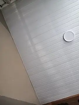 seunamoradinho7 online show from 12/01/25, 10:05