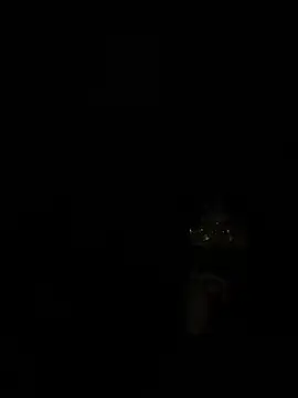 ValuedConcept687 online show from 02/03/26, 06:22