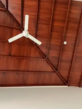 Dahan99346 online show from 12/18/25, 06:18