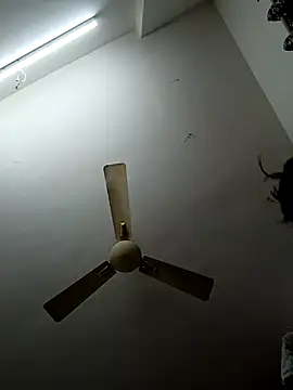 shilpa-singh online show from 12/20/25, 05:16