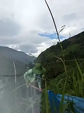 Maiphu34 online show from 05/13/26, 12:50