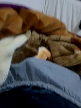 KF hway online show from 03/10/26, 07:51