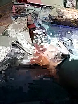 yacinekabiley16 online show from 02/13/26, 12:49