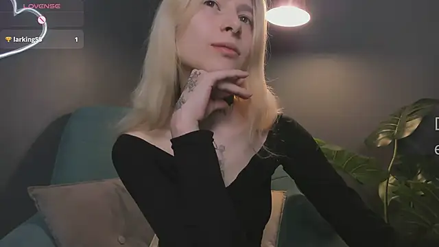 error occurred  online show from 02/01/26, 12:14