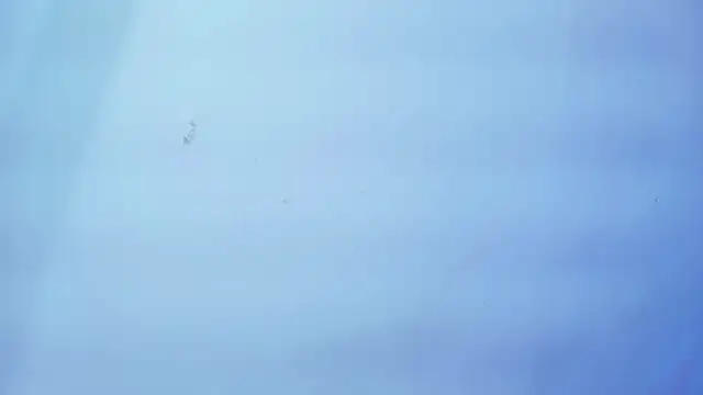 Nicole sounders online show from 01/19/26, 11:25