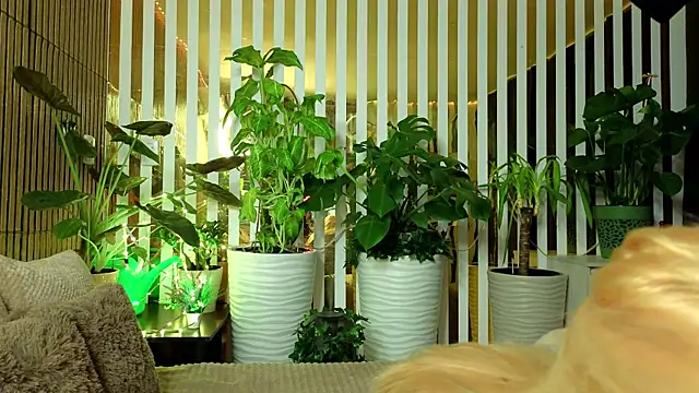 FlowweerGirl online show from 12/15/25, 09:42