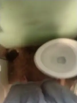 bigjohnson2914 online show from 03/13/26, 01:05