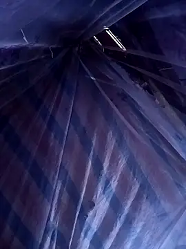 ava-dellght online show from 04/14/26, 06:07