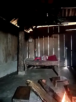 ava-dellght online show from 01/07/26, 02:16