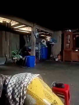 ava-dellght online show from 02/04/26, 02:28