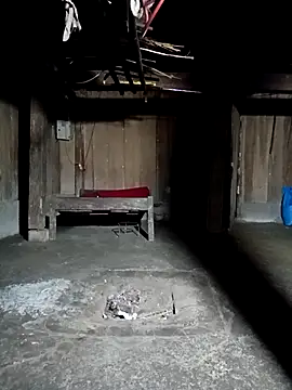 ava-dellght online show from 03/20/26, 12:28