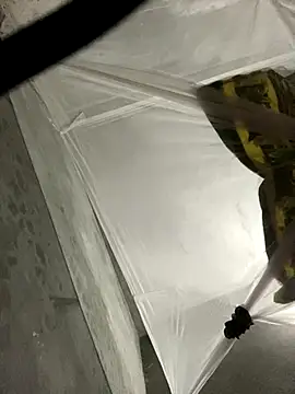 Snapshot of Wendy-babyy chatting on 12/16/25, 04:44 Wendy-babyy online show from 12/16/25, 04:44