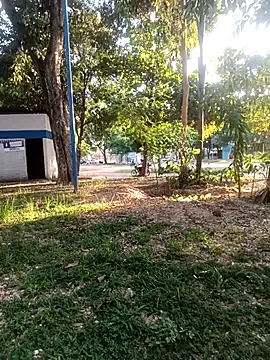 Mchljjk online show from 01/05/26, 08:23