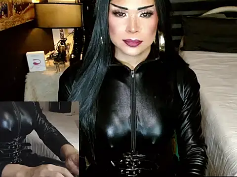 Snapshot of sheenavi chatting on 02/16/26, 09:02 sheenavi online show from 02/16/26, 09:02