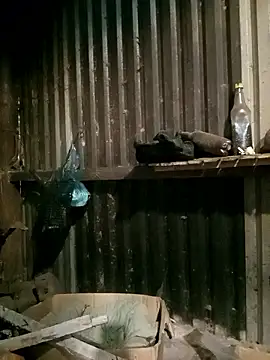 sary-hot2x online show from 01/07/26, 11:43